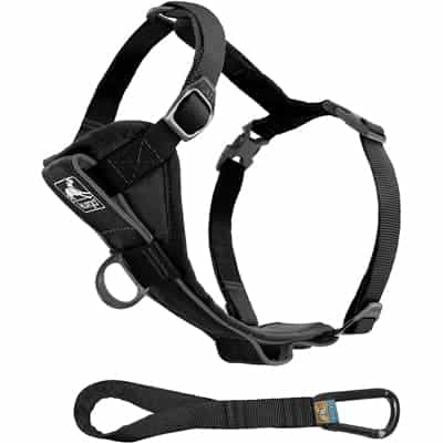 Kurgo Dog harness