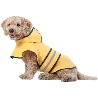 Ethical Fashion Dog Raincoat for Small Dogs - Best Winter Jackets and Raincoats for Dogs