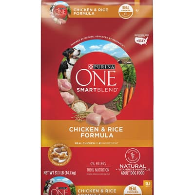 Purina ONE SmartBlend Natural Adult Dry Dog Food - Best Dry Foods for Dogs
