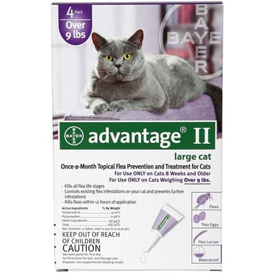 Cheristin For Cat’s Topical Flea Prevention
