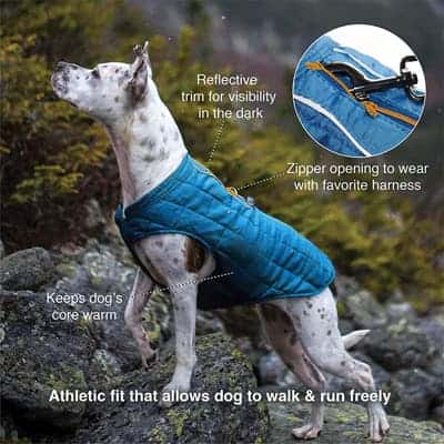 Kurgo Dog Jacket - Best Winter Jackets and Raincoats for Dogs