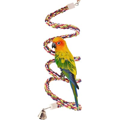 Petsvv Bird Perch - Best Bird Perches