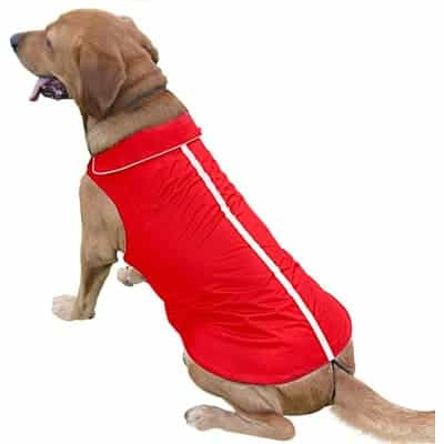 PETCEE Waterproof Dog Jacket