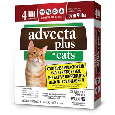 Advecta Plus for Large Cats - Best Cat Flea Treatments