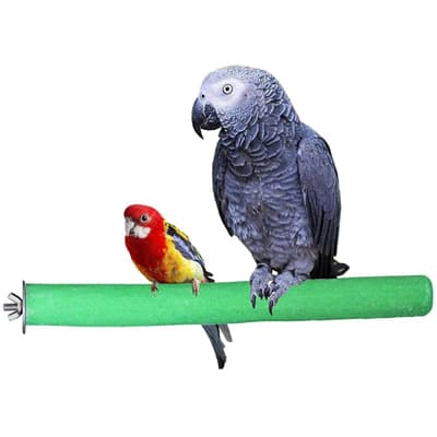 KINTOR Bird Perch - Best Bird Perches
