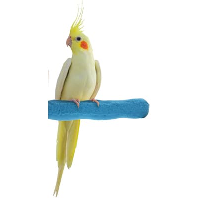 KINTOUR Bird Perch