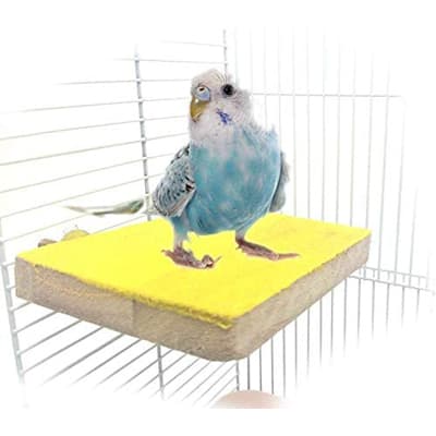 Mrli Pet Colorful Bird Perch Stand Platform - Best Bird Perches