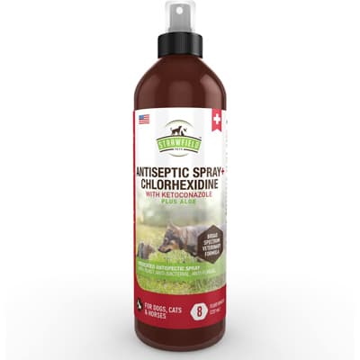 Antiseptic Spray Chlorhexidine - Best Flea Sprays for Cats