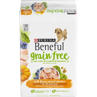 Purina Beneful Adult Dry Dog Food