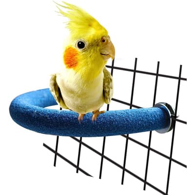 RYPRT Natural Birdcage - Best Bird Perches