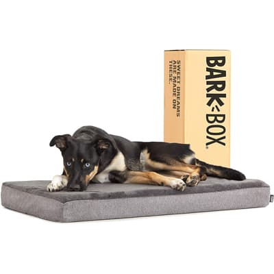 BarkBox Memory Foam Platform Dog Bed