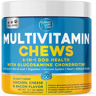 Ready Pet Go Multivitamin Glucosamine for Dogs
