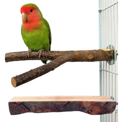 QUMY BIRD PARROT - Best Bird Perches